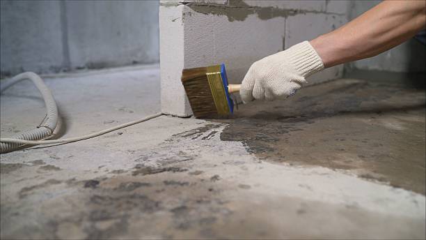 24/7 Emergency Exterior Waterproofing experts in Eagle, MI